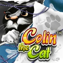 Colin-The-Cat